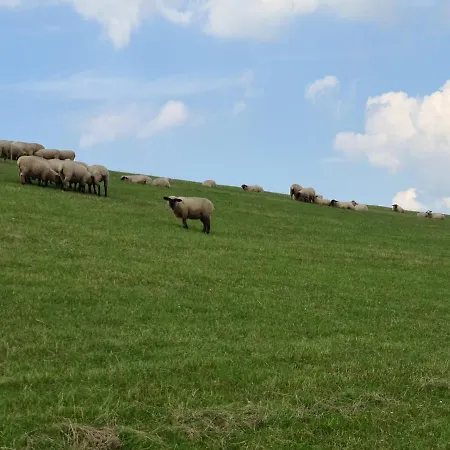 Haus Freija Sehestedt (Lower-Saxony)